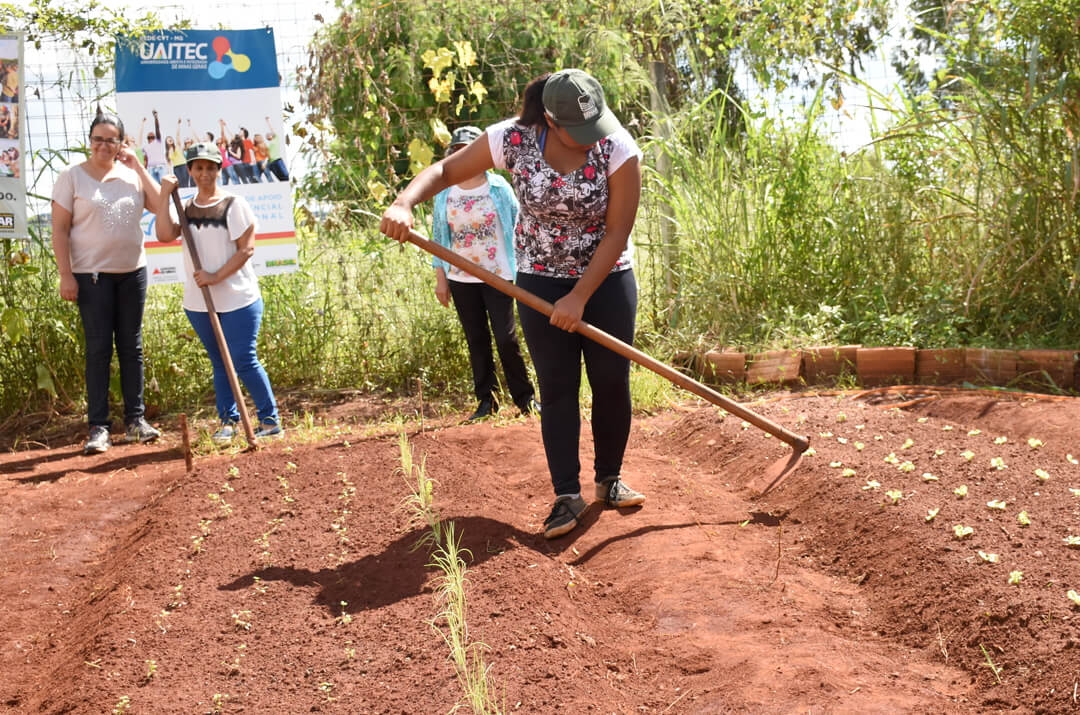 curso oleiricultura (1)