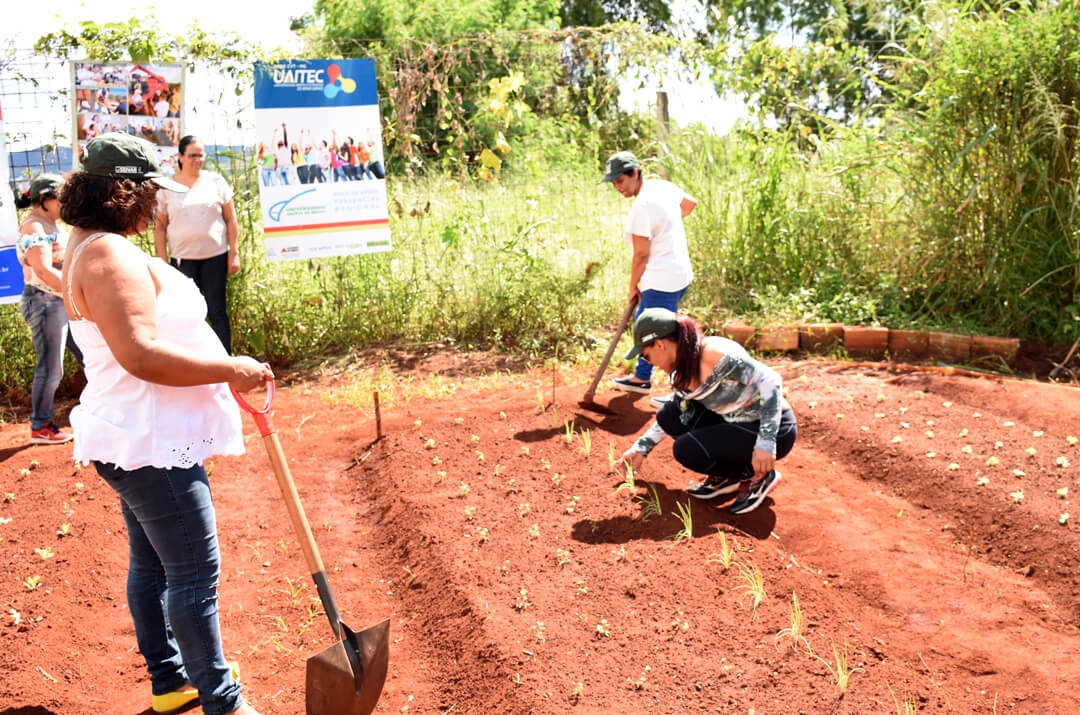 curso oleiricultura (5)
