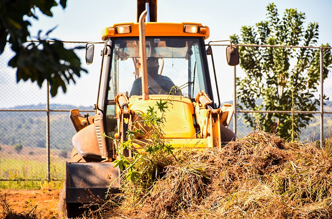 campo-palmeiras-obras1