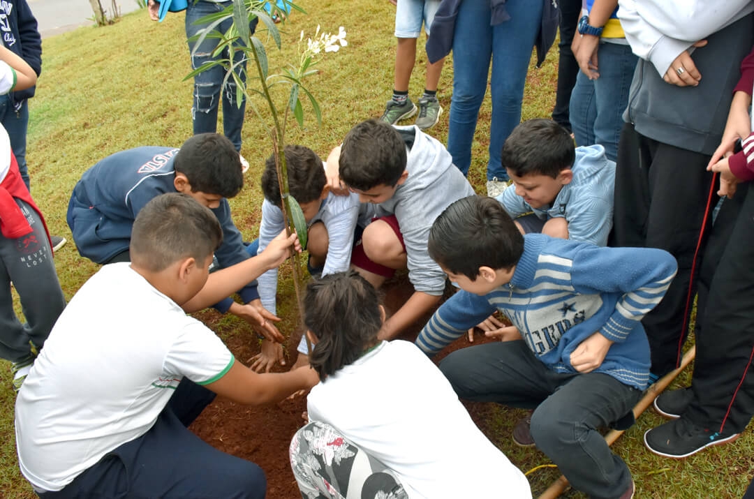 plantio-mudas-aniversario-cidade (3)