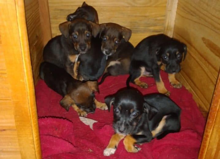 WhatsApp Image 2021-07-16 at 09.57.01 (1)