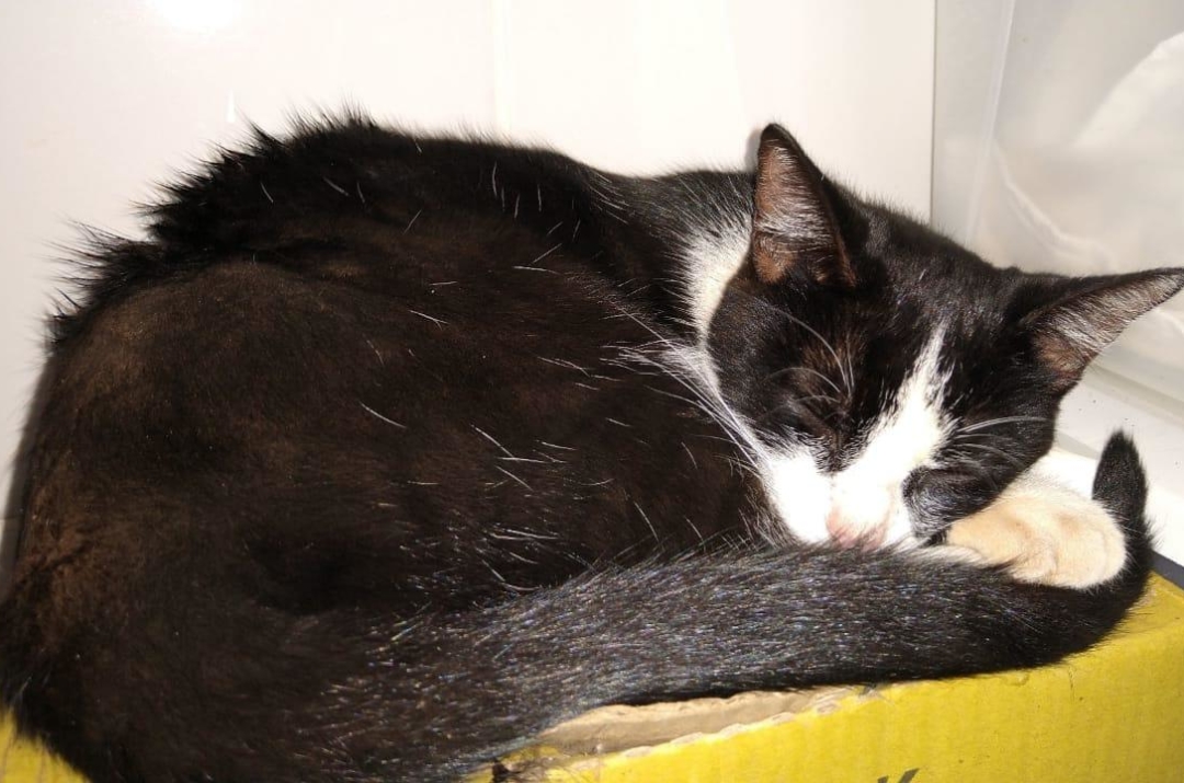 WhatsApp Image 2021-07-16 at 09.57.01 (2)