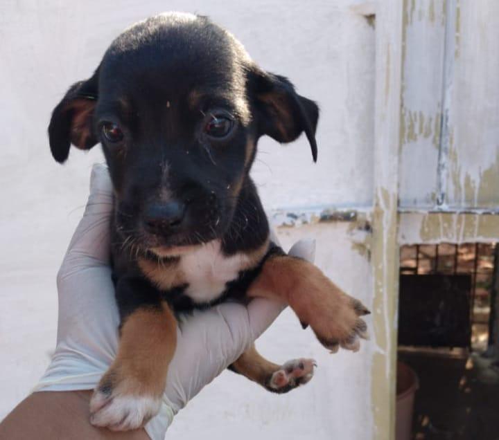 WhatsApp Image 2021-07-16 at 09.57.01 (4)