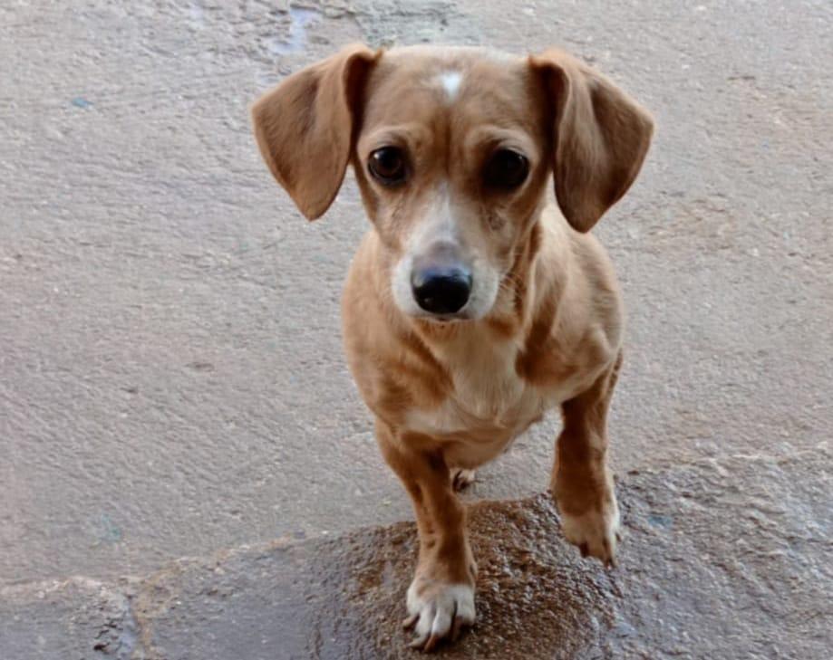 WhatsApp Image 2021-07-16 at 09.57.01 (5)