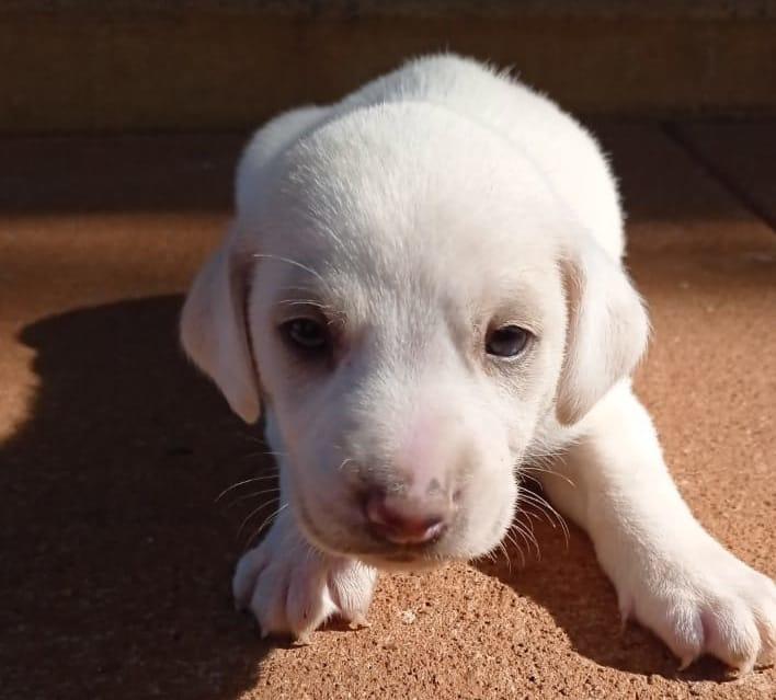 WhatsApp Image 2021-07-16 at 09.57.01 (9)