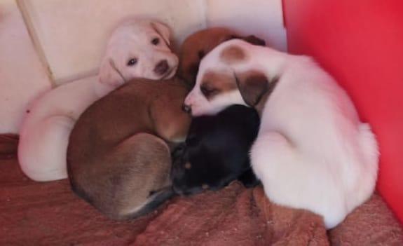 WhatsApp Image 2021-07-16 at 09.57.01