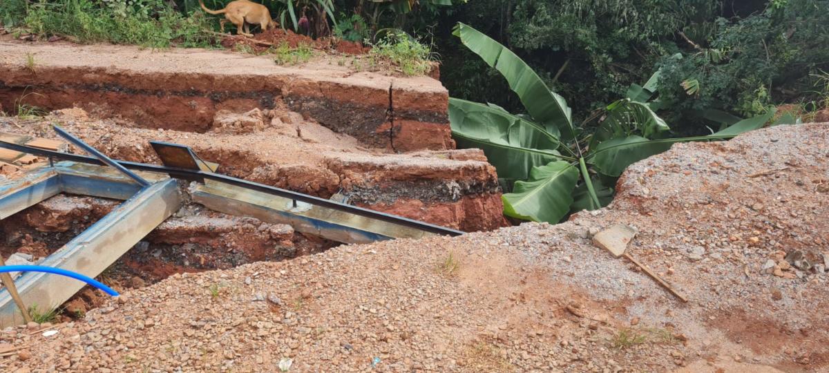 WhatsApp Image 2022-01-13 at 17.12.36 (2)